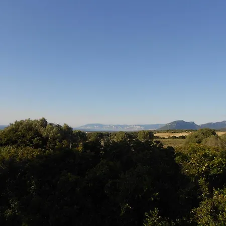 Su Birde Farm stay