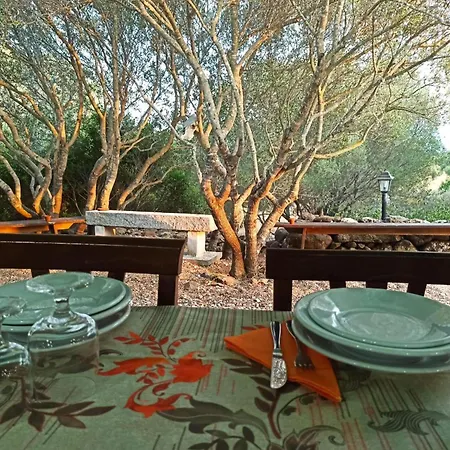 Farm stay Su Birde *