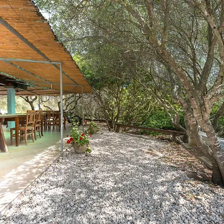 Farm stay Su Birde *